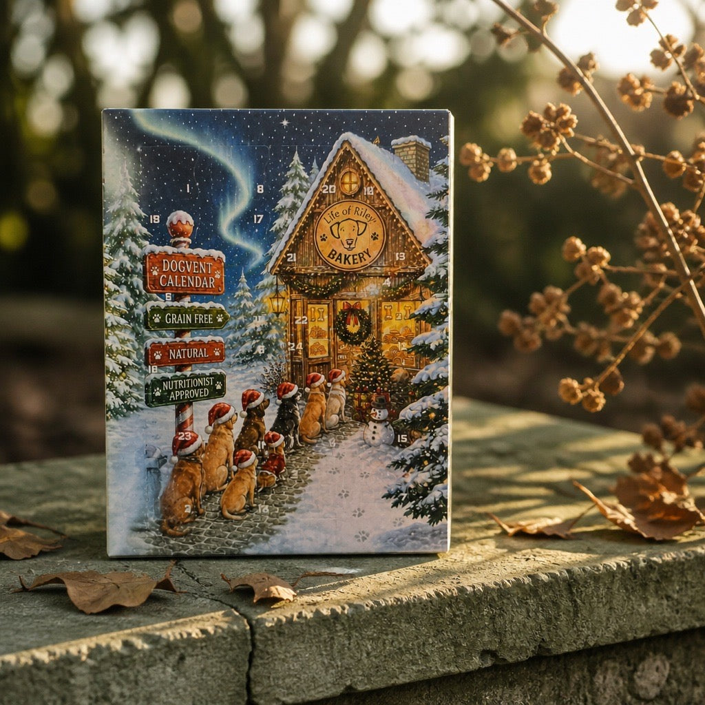Dogvent Cookie Advent Calender