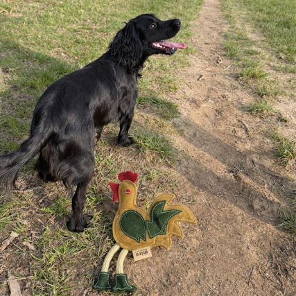 Eco Dog Toy - Chadley Chicken.