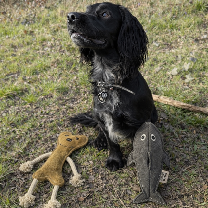 Eco Dog Toy - Sidney Shark