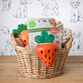 Strawberry "Dog Treat" Dispenser