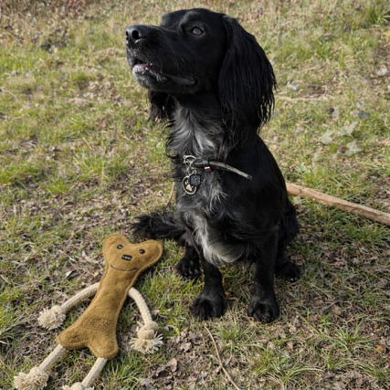 Bernard Bone – Eco-Friendly Leather Dog Toy