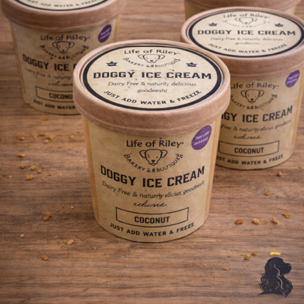 Doggy Ice Cream