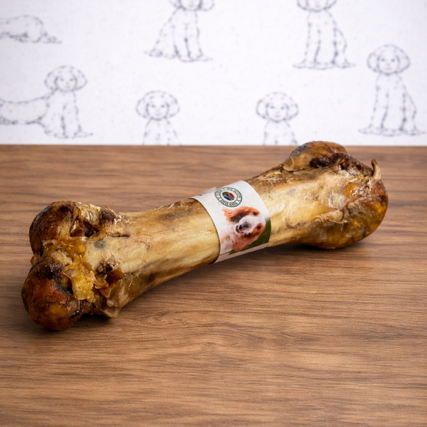 Ostrich Dino Bone