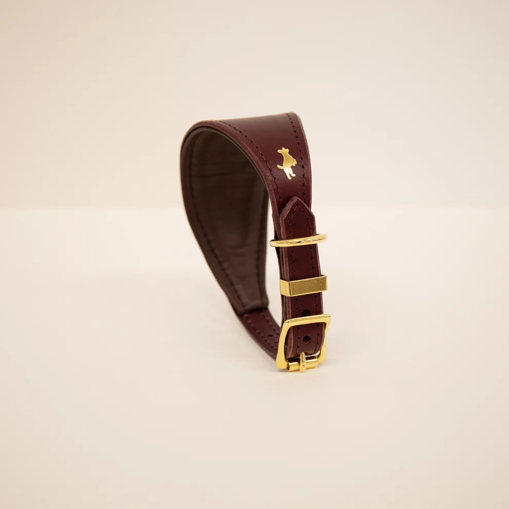 Forest padded Luxury Leather Sight Hound Collar