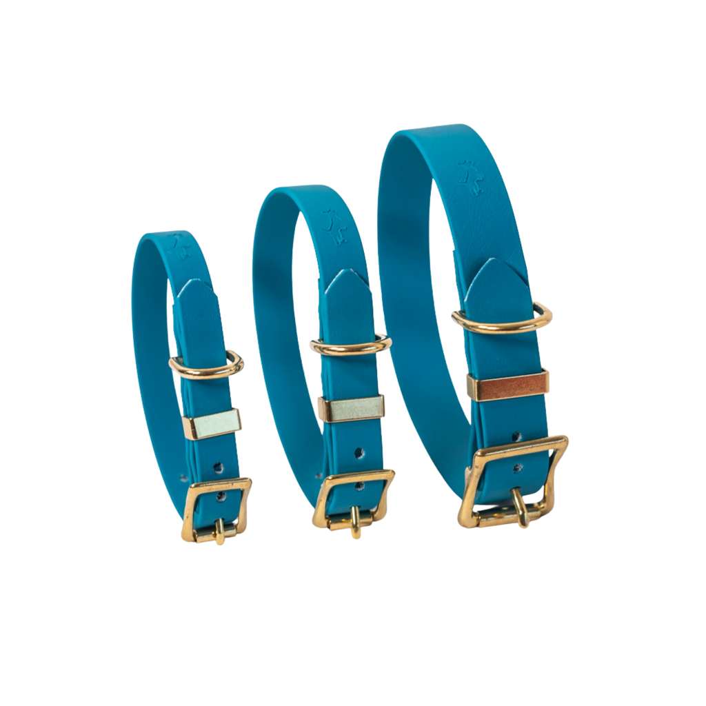 Lagoon Biothane® All Weather Collar