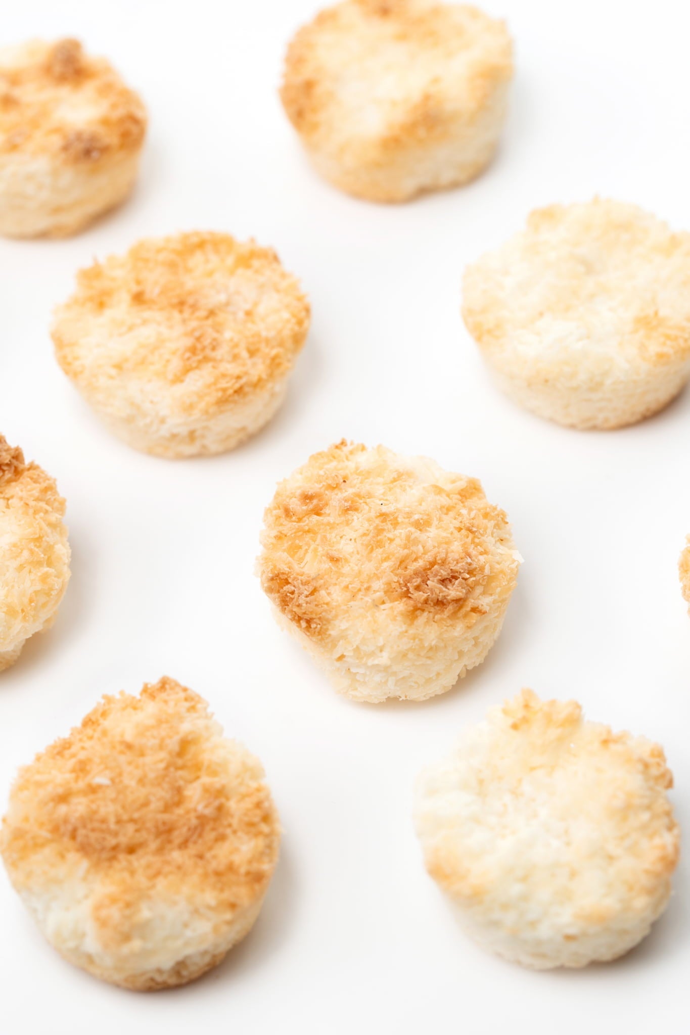Coconut Macaroons 100g – The Original Macaroon for Dogs!