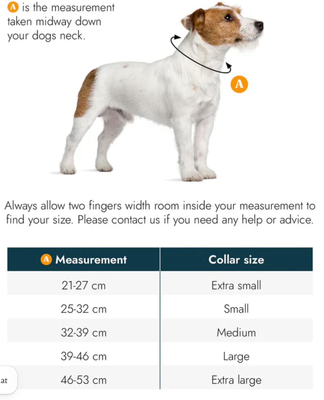 Wine Biothane® All Weather Collar