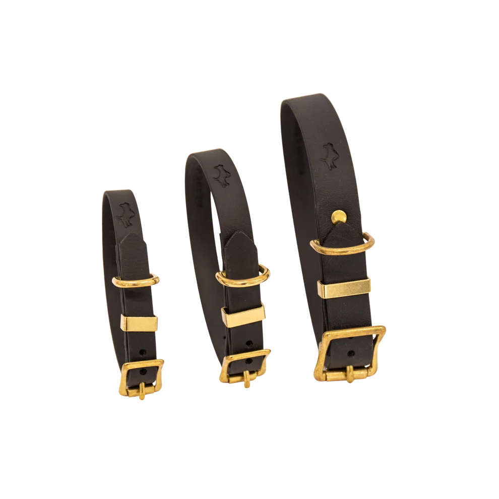 Black Biothane® All Weather Collar