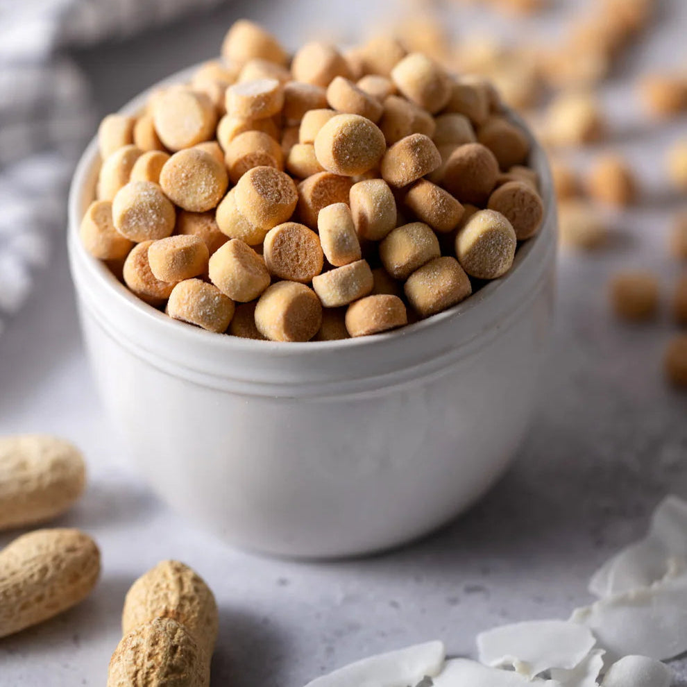 CHEESY TRAINING TREATS 100g