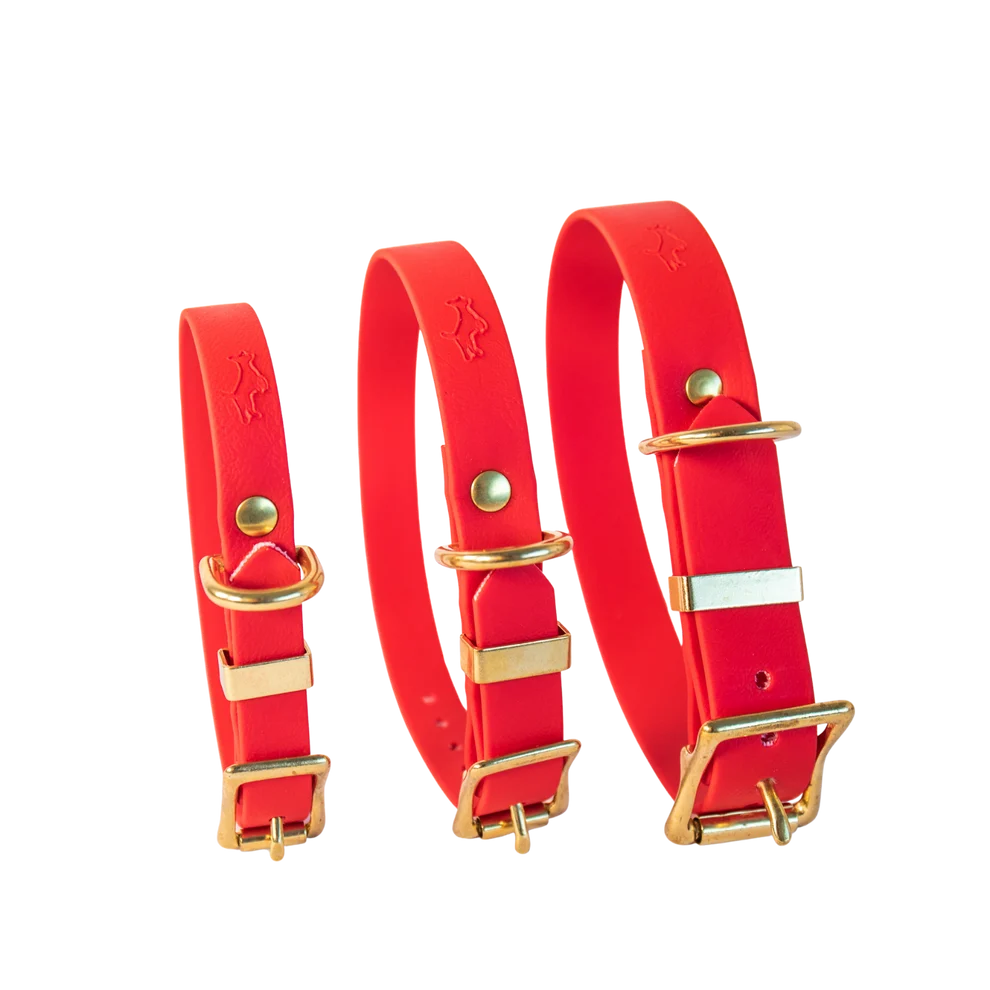 Red Biothane® All Weather Collar