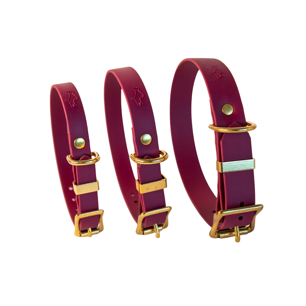Wine Biothane® All Weather Collar
